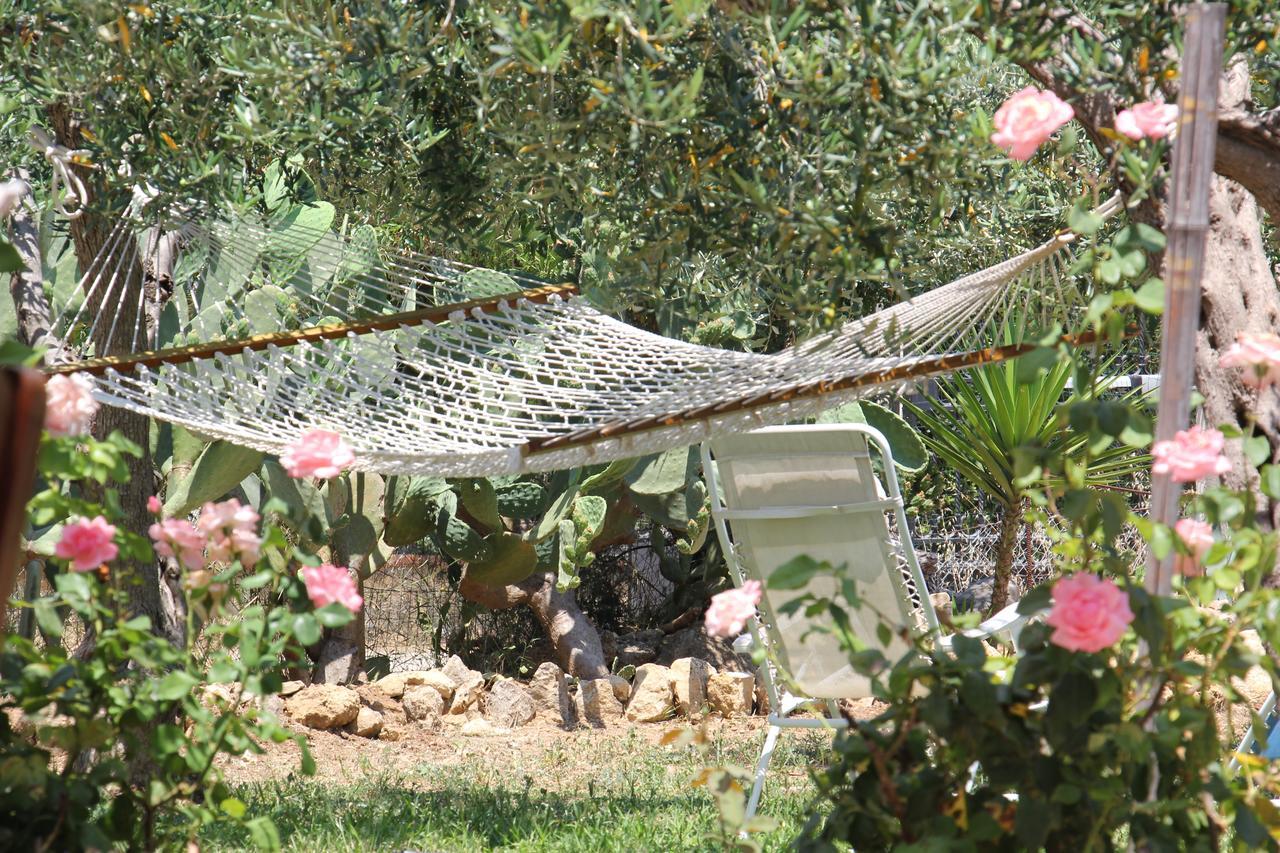 Bed and Breakfast Uliveto House Castellammare del Golfo Zewnętrze zdjęcie