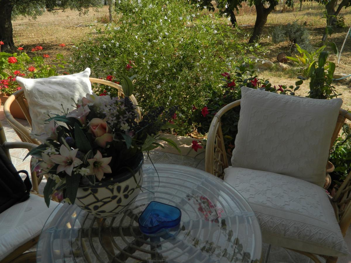 Bed and Breakfast Uliveto House Castellammare del Golfo Zewnętrze zdjęcie