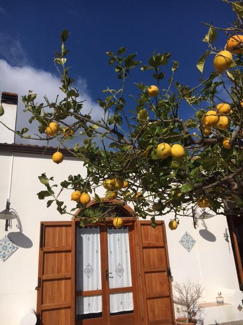 Bed and Breakfast Uliveto House Castellammare del Golfo Zewnętrze zdjęcie