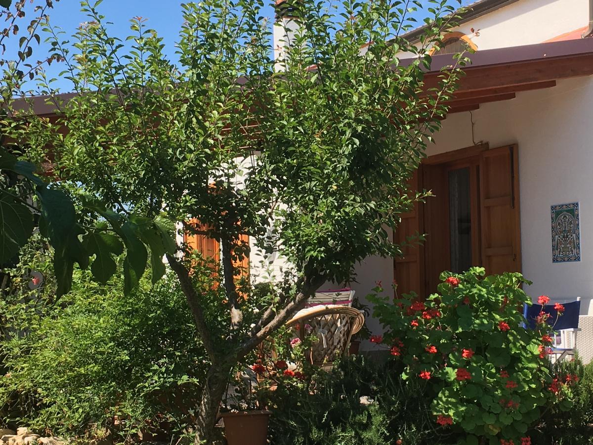 Bed and Breakfast Uliveto House Castellammare del Golfo Zewnętrze zdjęcie
